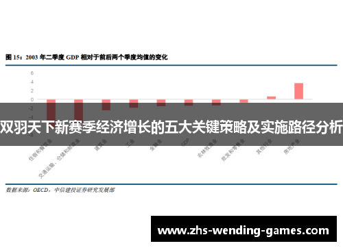 双羽天下新赛季经济增长的五大关键策略及实施路径分析