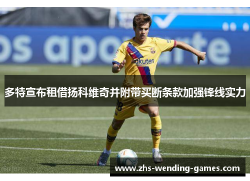 多特宣布租借扬科维奇并附带买断条款加强锋线实力